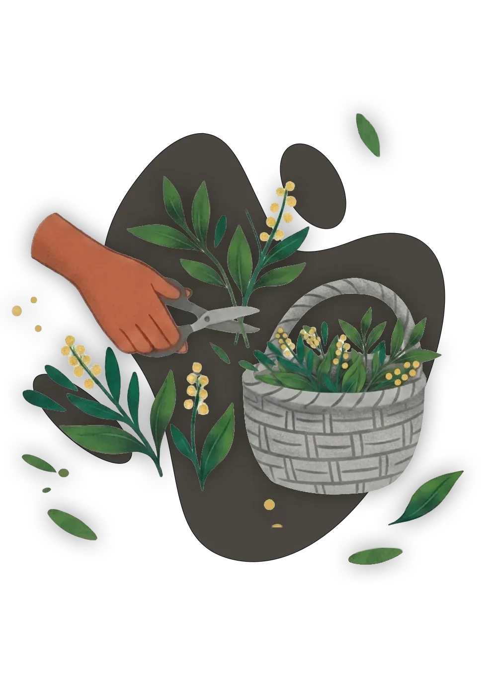 Ilustrație pentru recoltare