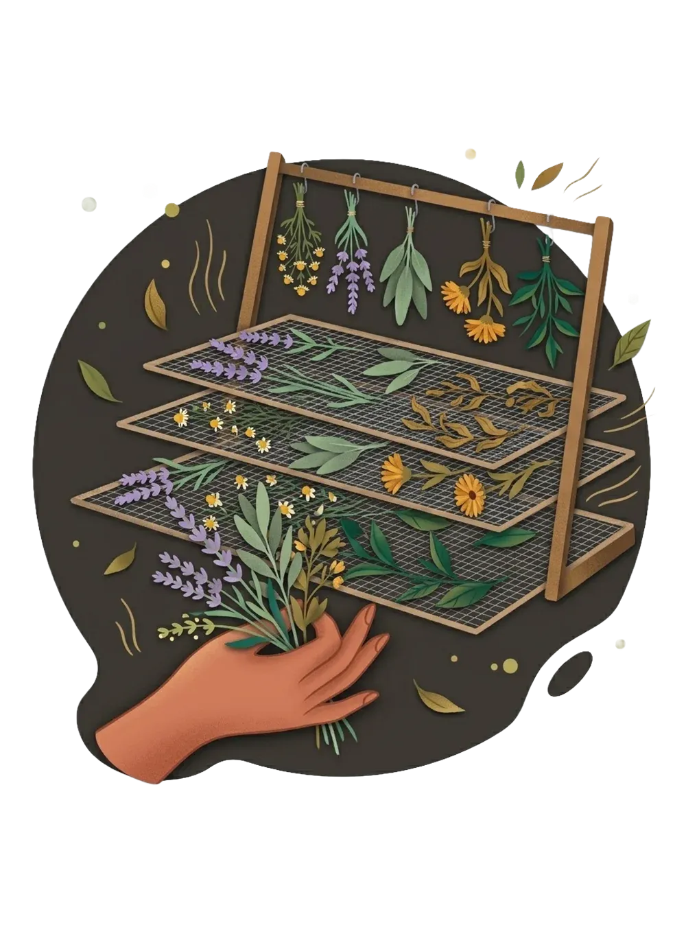 Ilustrație pentru uscare